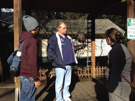 Great Horned Owl named Julio
