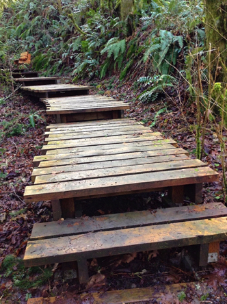 Steps may be slippery with no edge protection