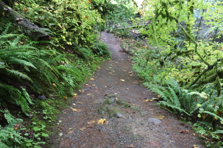 Rock, embedded in the center of the natural surface Jay Trail
