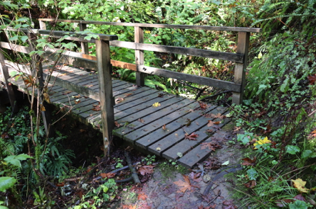 Wood bridge with railings from natural surface Jay Trail &ndash; narrow approach and lip on one end
