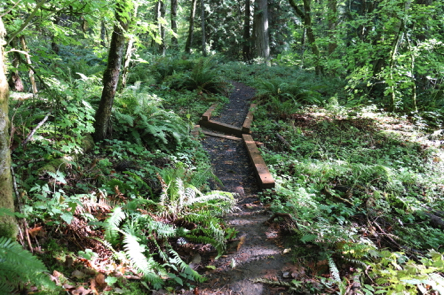 Compacted gravel edged with wide boards &ndash; deep gap between contained gravel on Jay Trail