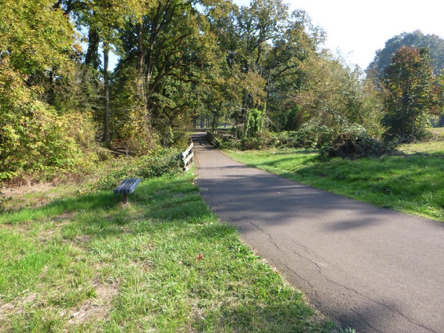 Paved bike path to Oak Grove &ndash; disc golf and campground &ndash; crack on the left side of trail &ndash; bench