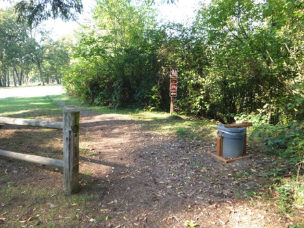 Townsite trailhead &ndash; garbage can &ndash; signage prohibits bikes &ndash; grass is growing through light bark chip surface