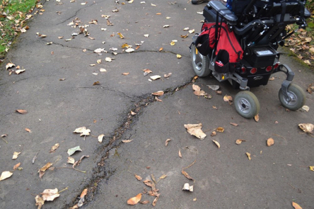 Large cracks on paved trail