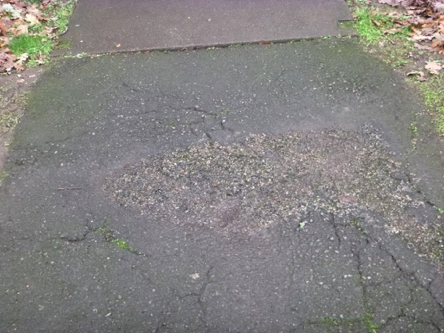 Paved trail to Oak Grove restroom &ndash; cracks and erosion in pathway &ndash; pathway connects to sidewalk
