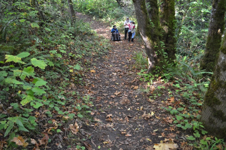 Kitty Newell natural surface trail &ndash; steep grade and cross slope