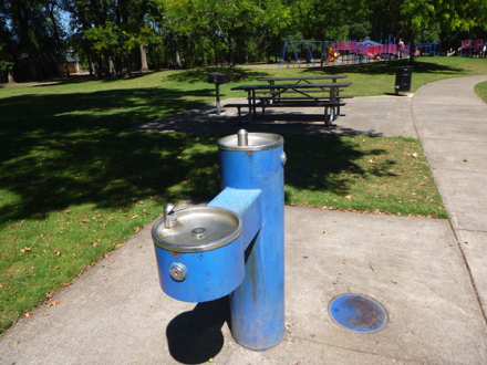 Two-tier drinking fountain located by the playground, picnic area and garbage can Two-tier drinking fountain located by the playground, picnic area and garbage can