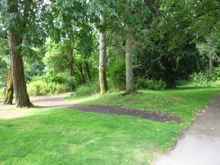 Bark chip trail connects to a paved trail by the boat launch