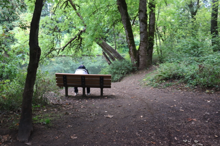 Bench with view of the Tualatin River from the bark chip trail by the boat launch &ndash; parallels the park road