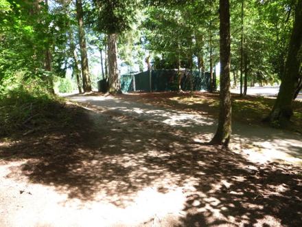Bark chip trail connects to a paved trail by the softball field