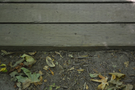 Transition from natural surface to wooden foot bridge &ndash; may be slippery when wet