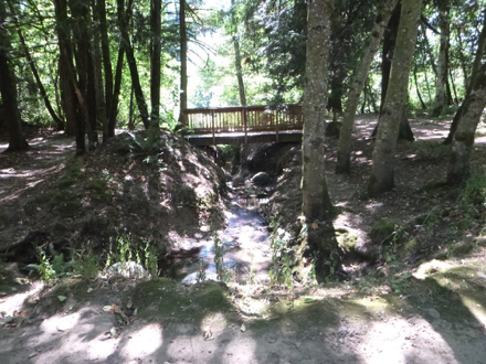 Short foot bridge on natural surface trail &ndash; parallels the paved 108th Street Trail