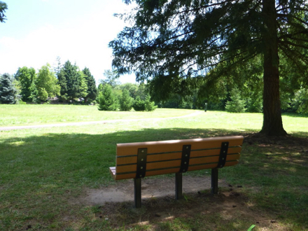 Bench under shade tree in the meadow on 108th Street Trail &ndash; grass around the bench