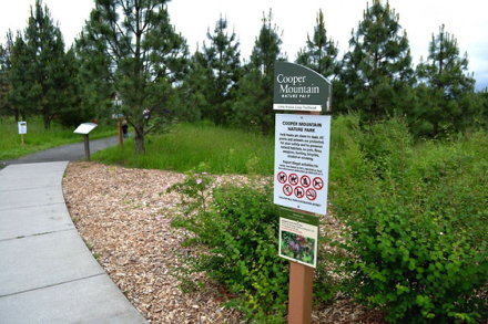 Sidewalk to the trailhead transitions from paved surface to compacted gravel
