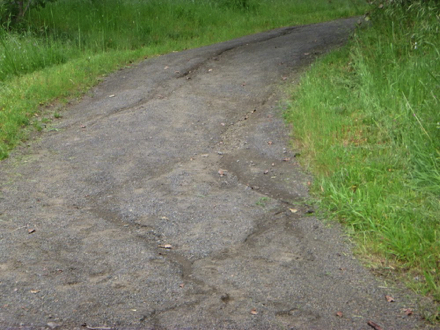 Blacktail Way has some ruts in the trail surface
