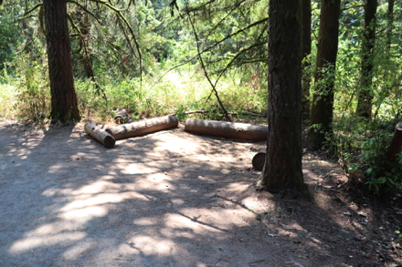 Seating area along Little Prairie Loop