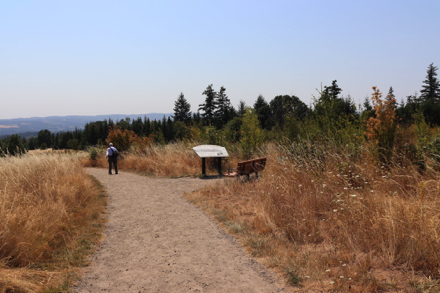 Bench and interpretive display just west of Little Prairie Loop and Cooper Mountain Loop intersection