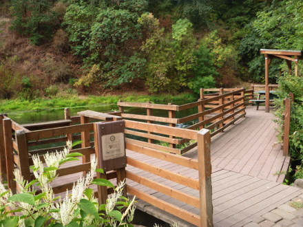 Wooden fishing platform with partial covered picnic bench and lowered rail for fishing