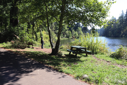 Picnic table under tree overlooking the Tualatin River