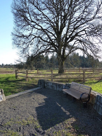 Elder Oak Plaza – compacted gravel surrounding bench may have areas of loose gravel Elder Oak Plaza – compacted gravel surrounding bench may have areas of loose gravel