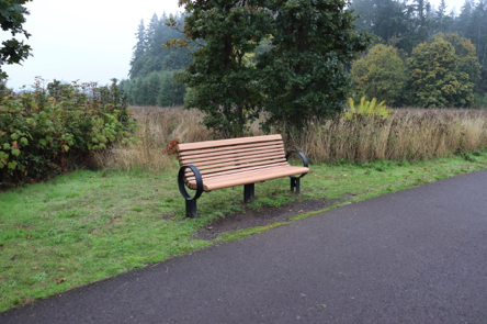 Bench along the wide and paved Tonquin Trail Bench along the wide and paved Tonquin Trail