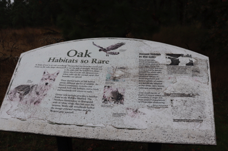 Interpretive displays throughout the park Interpretive displays throughout the park
