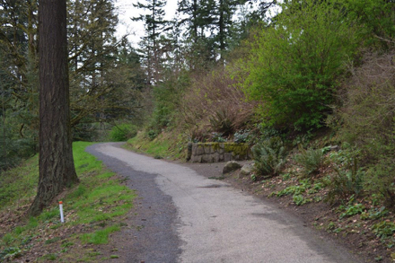 Paved access route to trail network