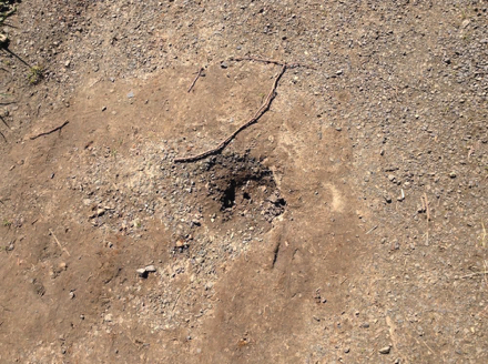 Hole in the center of the Maple Trail