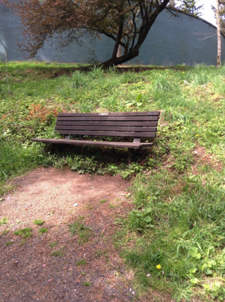 Bench, surrounded by foliage, at the top of the steep grade of the Wildwood Trail