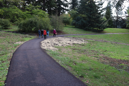 The paved Overlook Trail