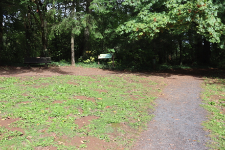 Trail junction of Maple and Wildwood Trails &ndash; interpretive display and bench