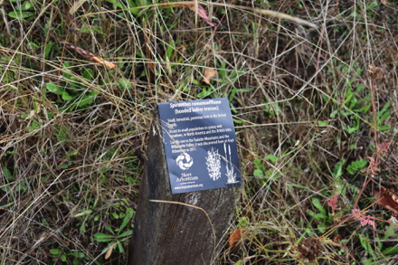 Short plant identification signage &ndash; plant ID signs throughout trail system