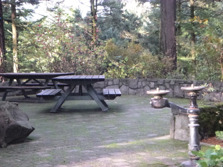 Picnic tables at the Stevens Pavilion - hard surface of brick and compacted gravel.