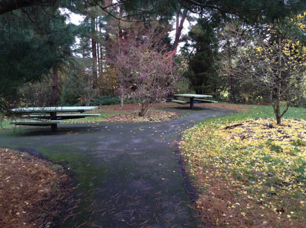 Accessible picnic tables located at the end of the Bristlecone Pine Trail
