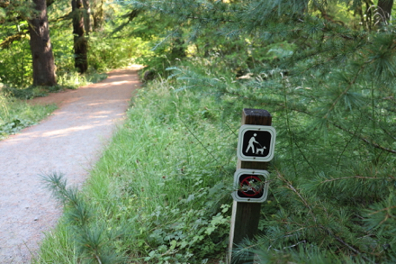 Dogs are allowed on trails &ndash; no bikes