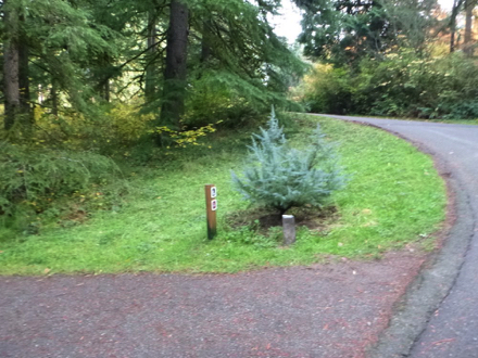 Cement bump between the road and trail
