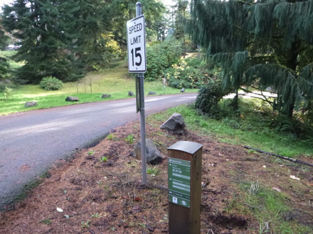 Transition from natural surface trail to paved road may have a lip