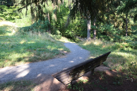 Bench on gravel surface Fir Trail &ndash; grades up to 23% &ndash; leads to Redwood Trail