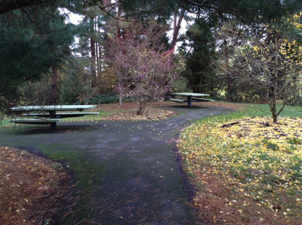 Picnic tables on paved surface at the end of the Bristlecone Pine Trail