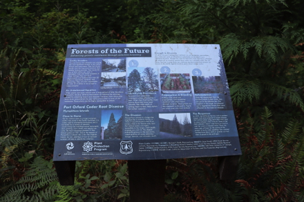 Informational signage &ndash; Forest of the Future