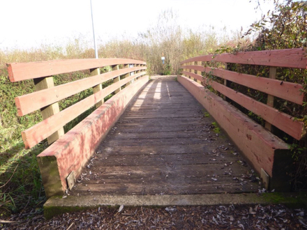 Bark chip trail &ndash; wooden foot bridge with railing &ndash; possible lip at transition