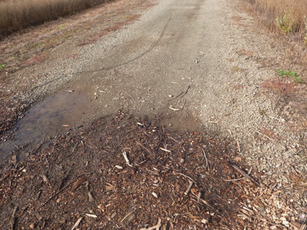 Trail of mixed surfaces &ndash; natural surface may be muddy when wet &ndash; bark chips &ndash; wide trail with vegetation on sides