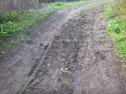 Natural surface trail that may be muddy when it rains &ndash; wide trail &ndash; vegetation on both sides