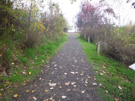 Start of trail from Education Center &ndash; steep grade with compacted gravel