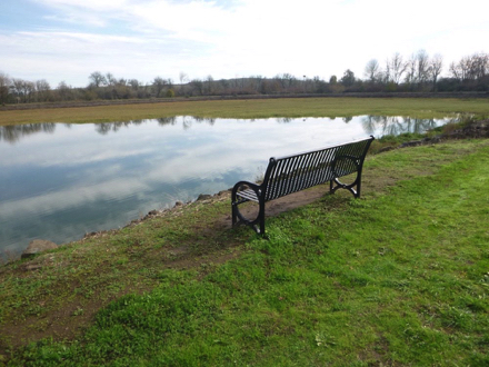 Bench with back at Pintail Pond &ndash; natural surface trail