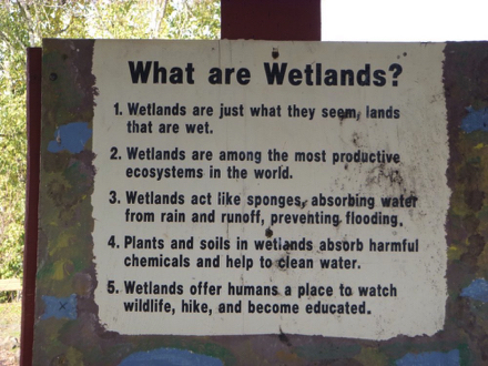 Sign &ndash; &ldquo;What are wetlands?&rdquo; &ndash; lands that are wet &ndash; productive ecosystem &ndash; absorb water/chemicals &ndash; watch wildlife