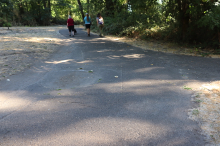 Sunken dip in black top - several on trails