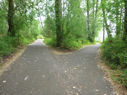 Two connecting trails - hard surface trail with cracks and patching - lips on trail edge to soft surface