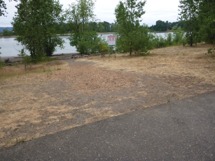 Path to the beach on the Willamette River side - transition from hard surface to soft surface - logs on beach
