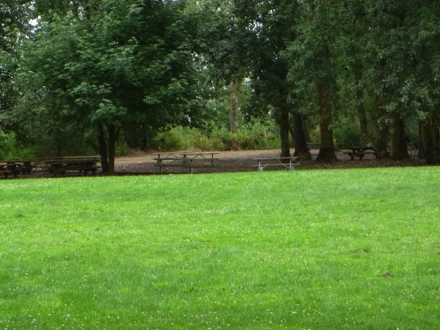 Large mowed meadow - picnic tables - area used for activities - trees